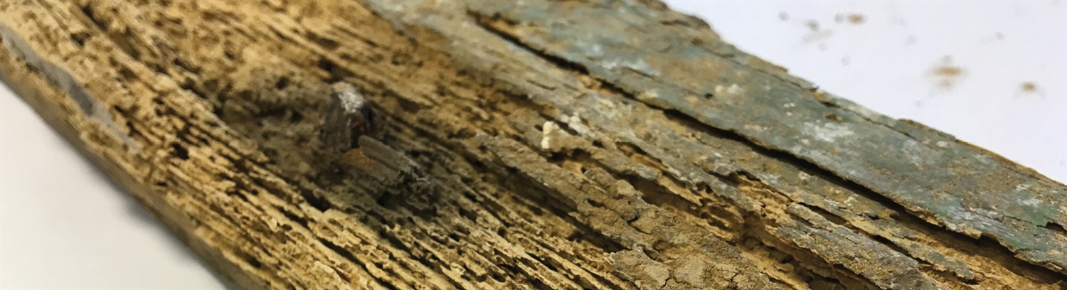 Timber preservation Banner - Property Care Association
